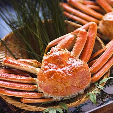 【蟹まるごと1杯-海の王様】ズワイ蟹を堪能！ボリューム満点♪食べつくし